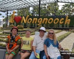 Seven Countries экскурсия Нонг Нуч обед и шоу змей фото тура - 273