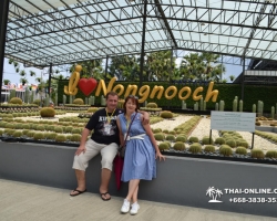 Seven Countries экскурсия Нонг Нуч обед и шоу змей фото тура - 258