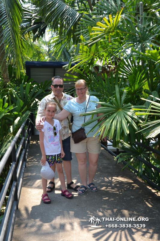 Тропический сад Нонг Нуч с обедом и шоу змей экскурсия в Паттайе фото 62