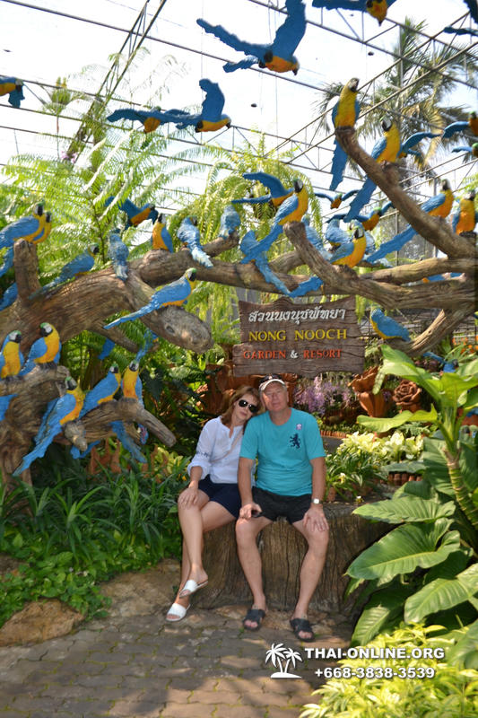 Тропический сад Нонг Нуч с обедом и шоу змей экскурсия в Паттайе фото 3