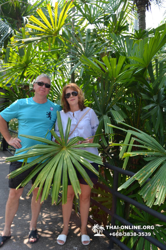 Тропический сад Нонг Нуч с обедом и шоу змей экскурсия в Паттайе фото 83