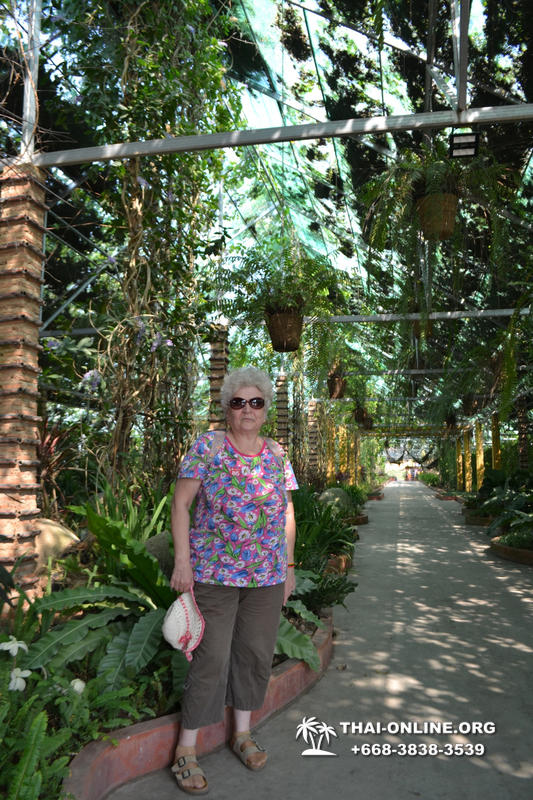 Тропический сад Нонг Нуч с обедом и шоу змей экскурсия в Паттайе фото 27