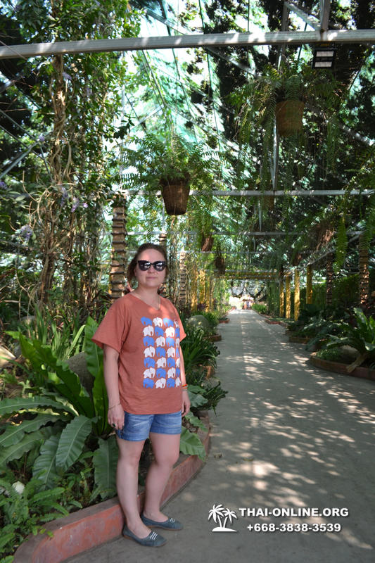 Тропический сад Нонг Нуч с обедом и шоу змей экскурсия в Паттайе фото 59