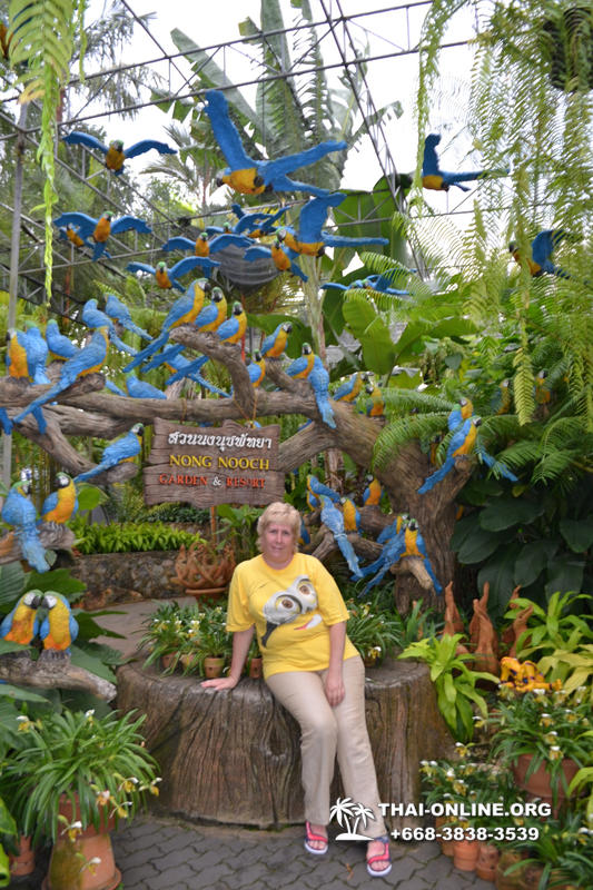 Тропический сад Нонг Нуч с обедом и шоу змей экскурсия в Паттайе фото 74