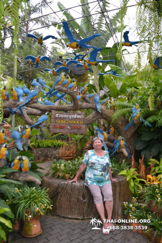 Тропический сад Нонг Нуч с обедом и шоу змей экскурсия в Паттайе фото 100