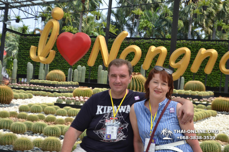 Seven Countries экскурсия Нонг Нуч обед и шоу змей фото тура - 281