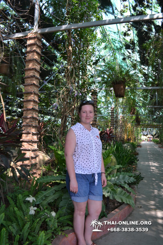 Тропический сад Нонг Нуч с обедом и шоу змей экскурсия в Паттайе фото 33