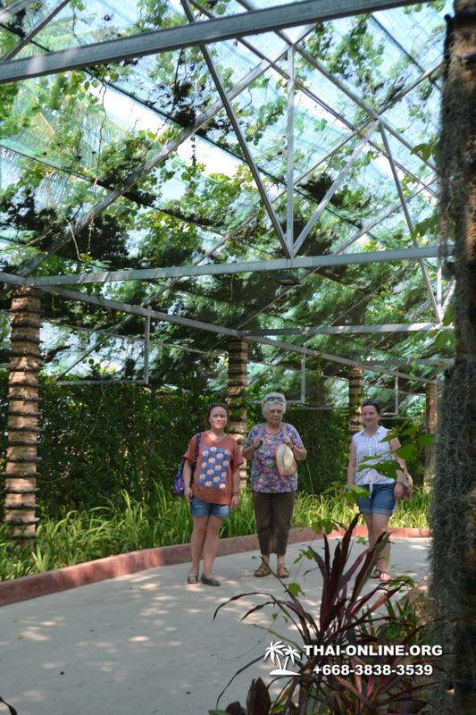 Тропический сад Нонг Нуч с обедом и шоу змей экскурсия в Паттайе фото 54