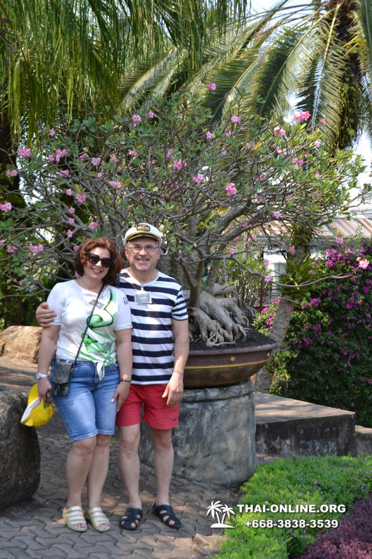 Тропический сад Нонг Нуч с обедом и шоу змей экскурсия в Паттайе фото 30