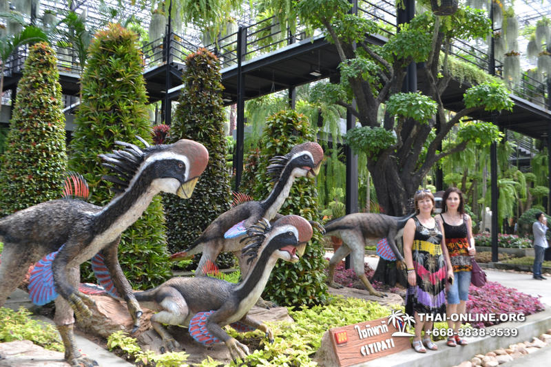 Тропический сад Нонг Нуч с обедом и шоу змей экскурсия в Паттайе фото 5
