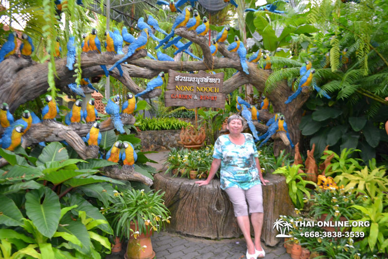 Тропический сад Нонг Нуч с обедом и шоу змей экскурсия в Паттайе фото 63