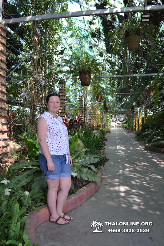 Тропический сад Нонг Нуч с обедом и шоу змей экскурсия в Паттайе фото 97