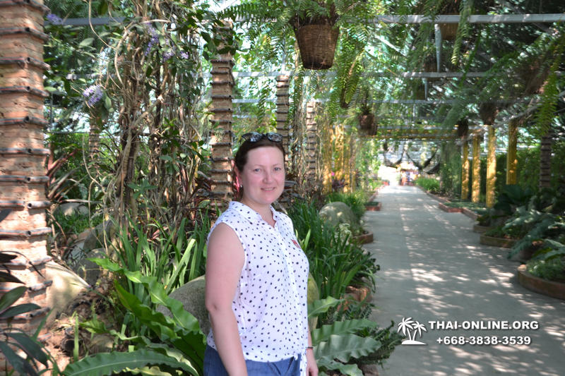 Тропический сад Нонг Нуч с обедом и шоу змей экскурсия в Паттайе фото 82