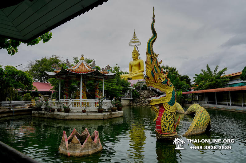 Позитив Тур экскурсия компании Seven Countries в Патайе Тайланде фото 50