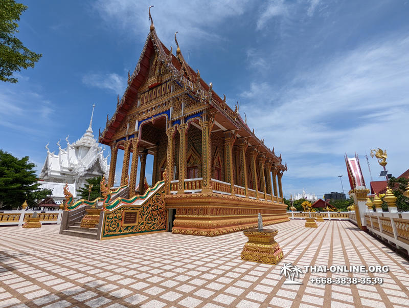 Позитив Тур экскурсия компании Seven Countries в Патайе Тайланде фото 16