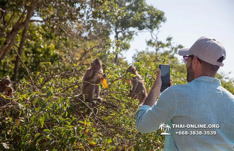 Мадагаскар Экспресс экскурсия 7 Countries Паттайя Тайланд - фото 150