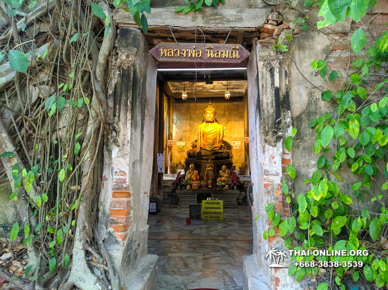 Поездка включает рынок на рельсах и прибытие Самут-сонгкрамского экспресса, храм тайского бокса, часовню в корнях фикуса, водопады Эраван и Сайок Ной, рыбный массаж, катание на слонах, горячие источники, храм-пещеру, ночь в плавучем отеле или на берегу - фото 14