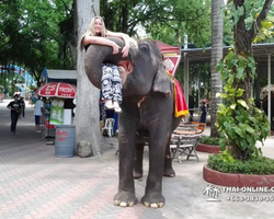 Нонг Нуч поездка парк Тайланд Seven Countries Паттайя - фото 925