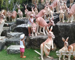 Нонг Нуч поездка парк Тайланд Seven Countries Паттайя - фото 907