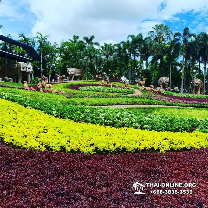 Тропический сад Нонг Нуч и шоу трансвеститов экскурсия в Паттайе фото 27