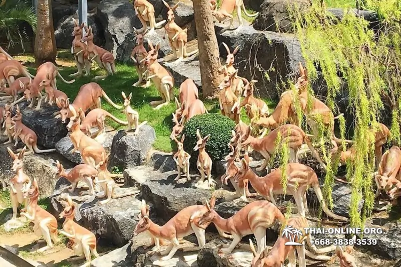 Тропический сад Нонг Нуч экскурсия в Паттайе фото 29