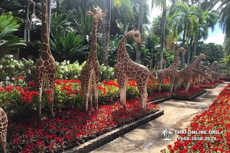 Тропический сад Нонг Нуч экскурсия в Паттайе фото 30