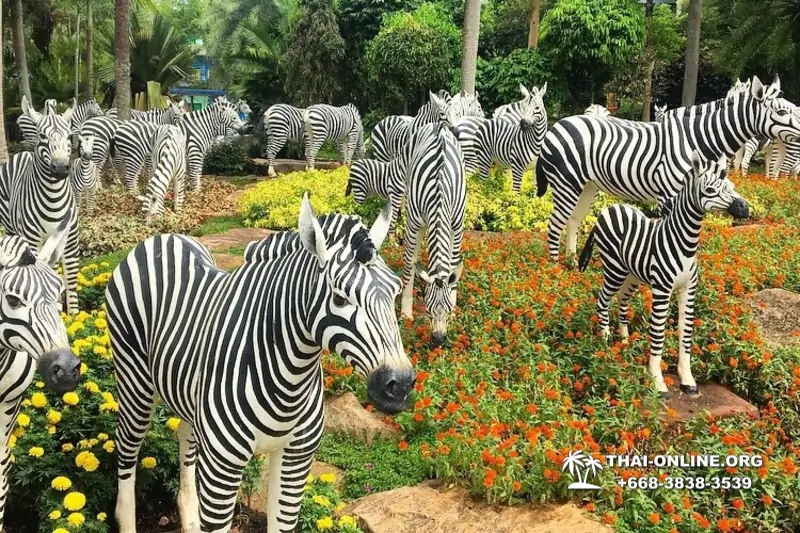 Тропический сад Нонг Нуч экскурсия в Паттайе фото 9