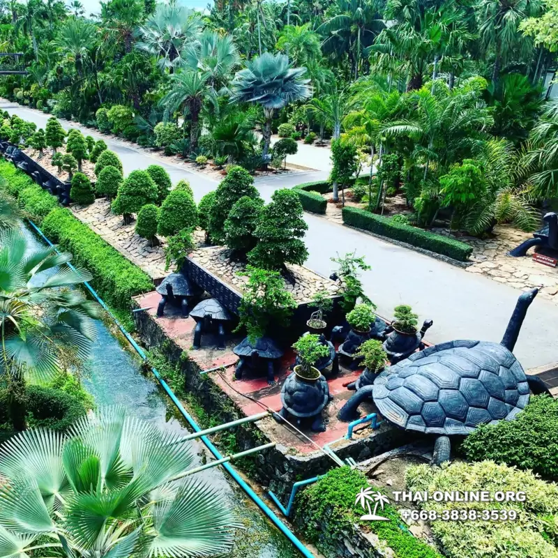 Тропический сад Нонг Нуч экскурсия в Паттайе фото 1