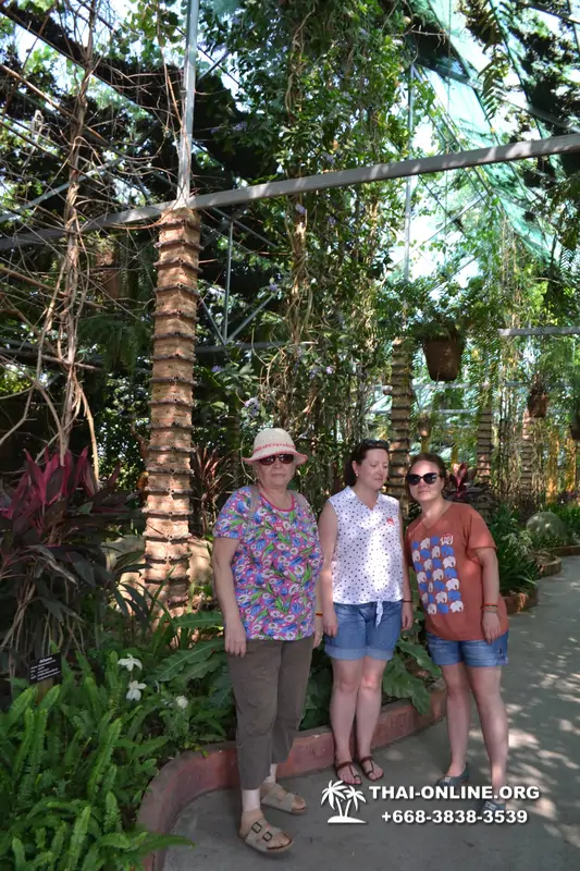 Тропический сад Нонг Нуч и шоу трансвеститов экскурсия в Паттайе фото 31