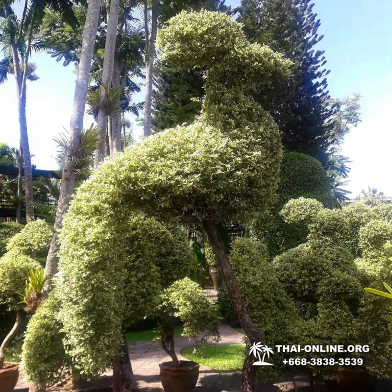 Тропический сад Нонг Нуч экскурсия в Паттайе фото 8