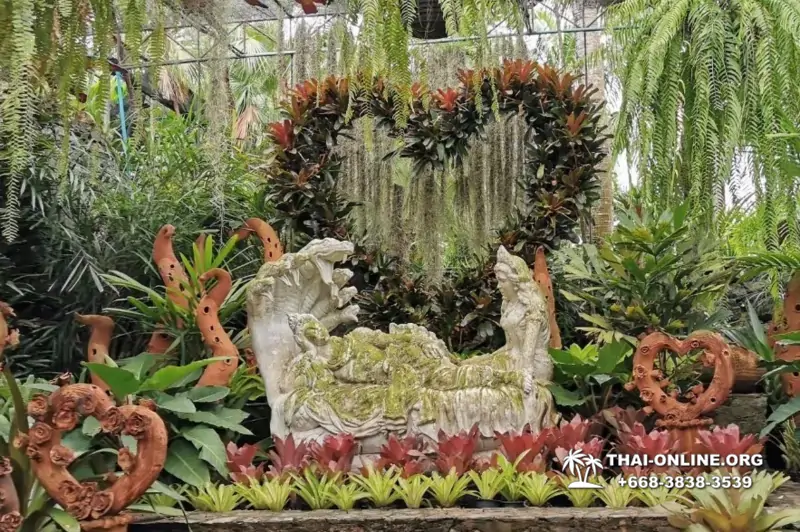 Тропический сад Нонг Нуч и шоу трансвеститов экскурсия в Паттайе фото 20
