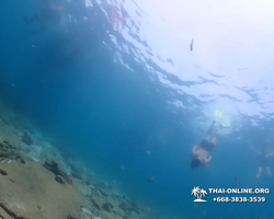 Подводная Одиссея морской тур Seven Countries Паттайя Таиланд 2667