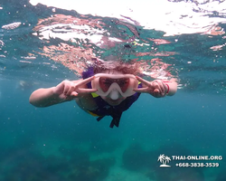 Подводная Одиссея морской тур Seven Countries Паттайя Таиланд 14
