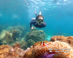 Подводная Одиссея морской тур Seven Countries Паттайя Таиланд 14009