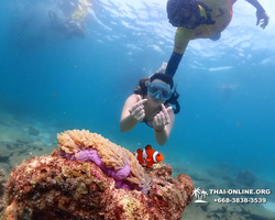 Подводная Одиссея морской тур Seven Countries Паттайя Таиланд 2658