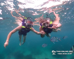 Подводная Одиссея морской тур Seven Countries Паттайя Таиланд 19