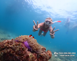 Подводная Одиссея морской тур Seven Countries Паттайя Таиланд 2645