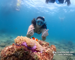Подводная Одиссея морской тур Seven Countries Паттайя Таиланд 2659