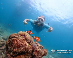 Подводная Одиссея морской тур Seven Countries Паттайя Таиланд 2636