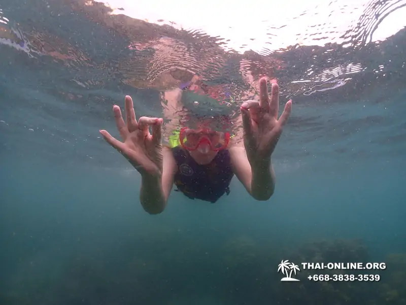 Подводная Одиссея морской тур Seven Countries Паттайя Таиланд 245