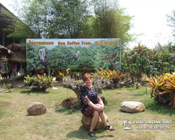 Ват Ян экскурсия с гидом Seven Countries в Паттайе Тайланд фото 892