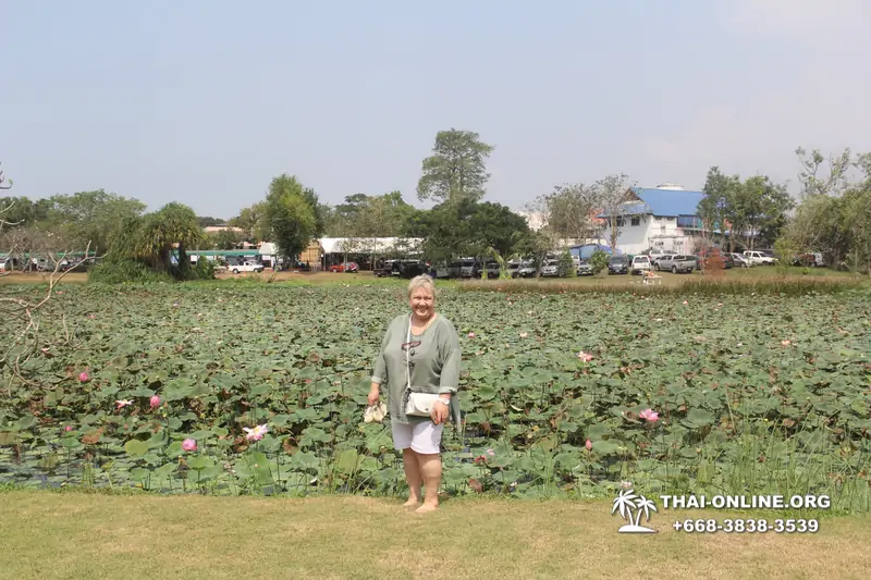 Ват Ян экскурсия с гидом Seven Countries в Паттайе Тайланд фото 4958