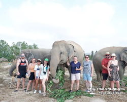 Заповедник слонов Elephant Jungle Sanctuary Pattaya - фото 744