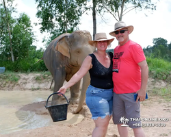 Заповедник слонов Elephant Jungle Sanctuary Pattaya - фото 353