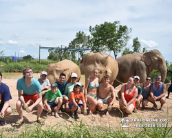 Заповедник слонов Elephant Jungle Sanctuary Pattaya - фото 257