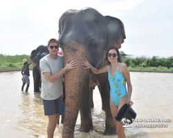 Заповедник слонов Elephant Jungle Sanctuary Pattaya - фото 1063