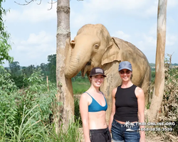 Заповедник слонов Elephant Jungle Sanctuary Pattaya - фото 183