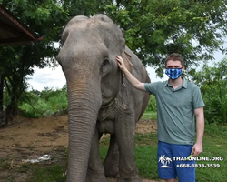 Заповедник слонов Elephant Jungle Sanctuary Pattaya - фото 334