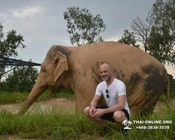 Заповедник слонов Elephant Jungle Sanctuary Pattaya - фото 409