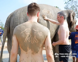 Заповедник слонов Elephant Jungle Sanctuary Pattaya - фото 1031